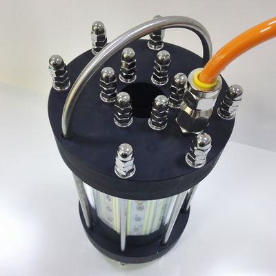 Stainless Steel Submersible Green Led Fishing Lights With Corrosion Resistance